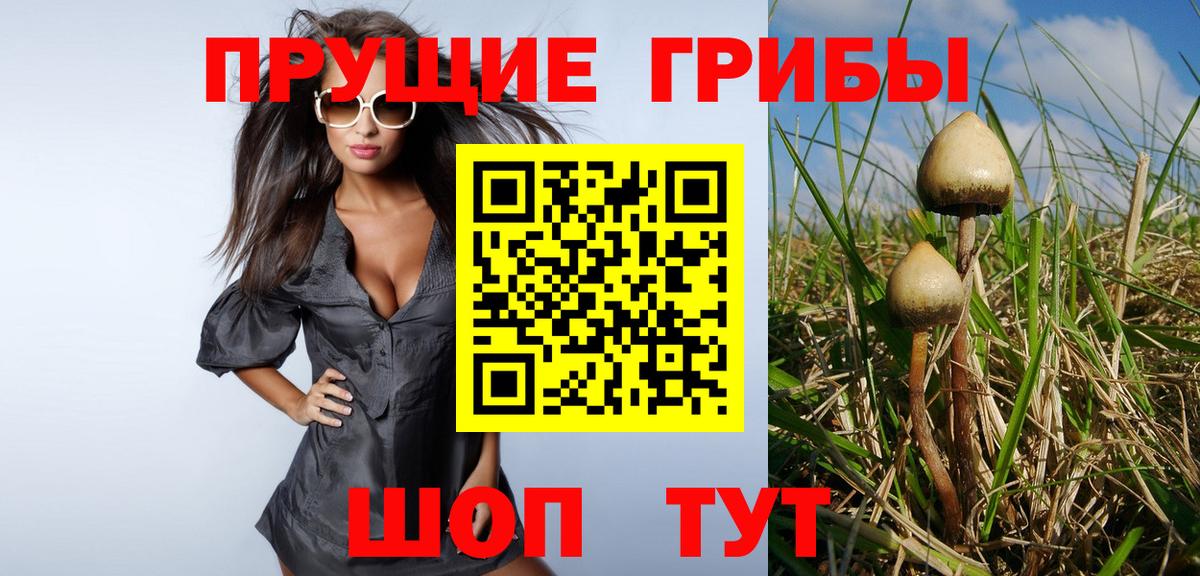 Шали  Псилоцибиновые грибы мицелий  Вход с VPN 