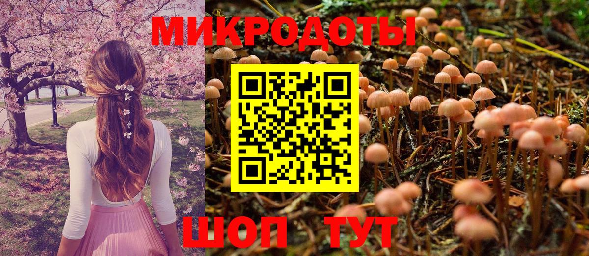Галлюциногенные грибы Psilocybine cubensis Шали